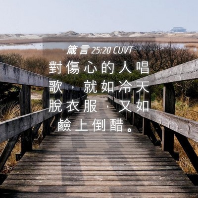 Picture 04 - 箴 言 25:20 CUVT - 對 傷 心 的 人 唱 歌 ， 就 如 冷 天 - Bible Verse Picture