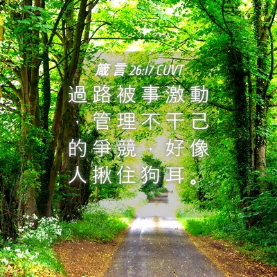 Picture 04 - 箴 言 26:17 CUVT - 過 路 被 事 激 動 ， 管 理 不 干 己 - Bible Verse Picture
