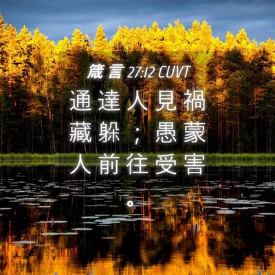 Picture 04 - 箴 言 27:12 CUVT - 通 達 人 見 禍 藏 躲 ； 愚 蒙 人 前 - Bible Verse Picture