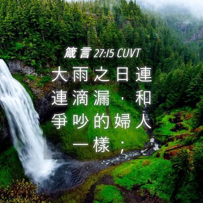 Picture 04 - 箴 言 27:15 CUVT - 大 雨 之 日 連 連 滴 漏 ， 和 爭 吵 - Bible Verse Picture