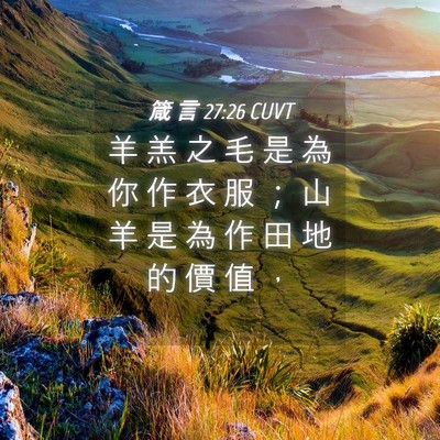 Picture 04 - 箴 言 27:26 CUVT - 羊 羔 之 毛 是 為 你 作 衣 服 ； 山 - Bible Verse Picture