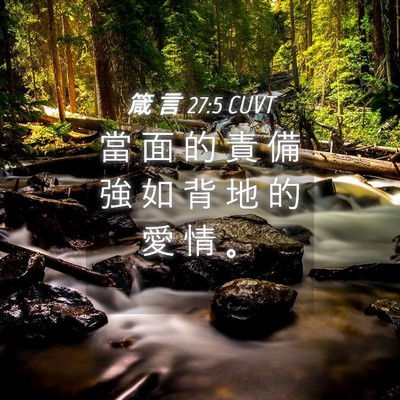 Picture 04 - 箴 言 27:5 CUVT - 當 面 的 責 備 強 如 背 地 的 愛 情 - Bible Verse Picture