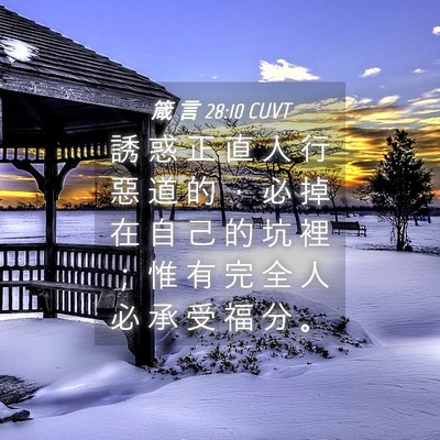 Picture 04 - 箴 言 28:10 CUVT - 誘 惑 正 直 人 行 惡 道 的 ， 必 掉 - Bible Verse Picture