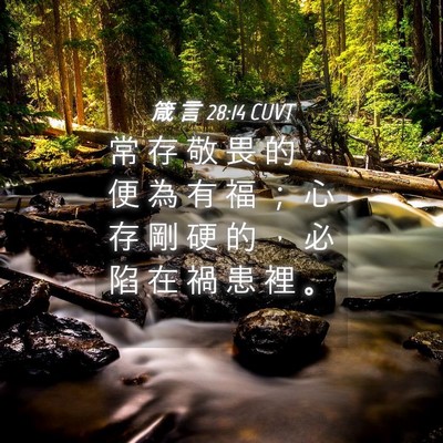 Picture 04 - 箴 言 28:14 CUVT - 常 存 敬 畏 的 ， 便 為 有 福 ； 心 - Bible Verse Picture