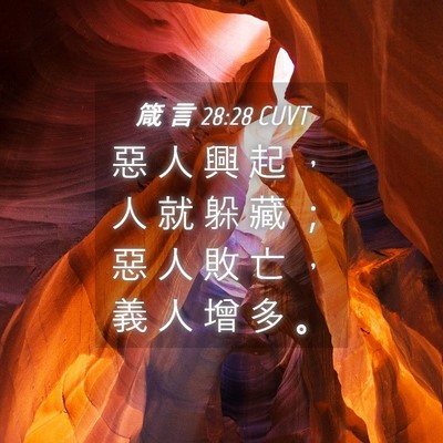 Picture 04 - 箴 言 28:28 CUVT - 惡 人 興 起 ， 人 就 躲 藏 ； 惡 人 - Bible Verse Picture