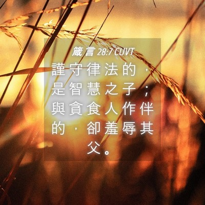 Picture 04 - 箴 言 28:7 CUVT - 謹 守 律 法 的 ， 是 智 慧 之 子 ； - Bible Verse Picture