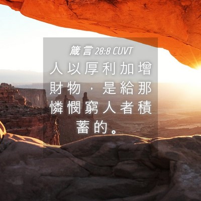 Picture 04 - 箴 言 28:8 CUVT - 人 以 厚 利 加 增 財 物 ， 是 給 那 - Bible Verse Picture