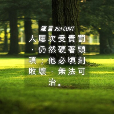 Picture 04 - 箴 言 29:1 CUVT - 人 屢 次 受 責 罰 ， 仍 然 硬 著 頸 - Bible Verse Picture