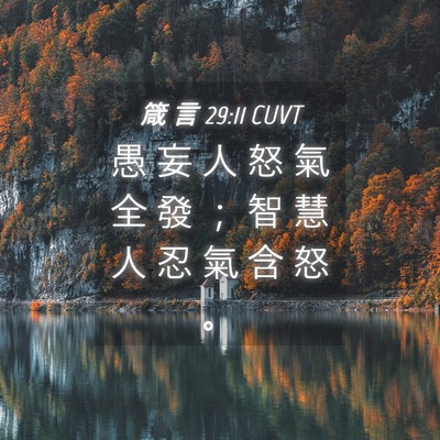 Picture 04 - 箴 言 29:11 CUVT - 愚 妄 人 怒 氣 全 發 ； 智 慧 人 忍 - Bible Verse Picture