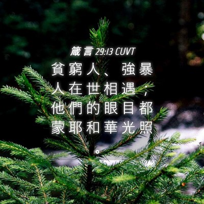 Picture 04 - 箴 言 29:13 CUVT - 貧 窮 人 、 強 暴 人 在 世 相 遇 ； - Bible Verse Picture