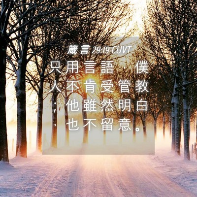 Picture 04 - 箴 言 29:19 CUVT - 只 用 言 語 ， 僕 人 不 肯 受 管 教 - Bible Verse Picture