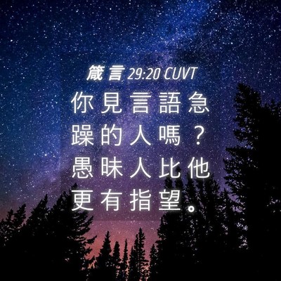 Picture 04 - 箴 言 29:20 CUVT - 你 見 言 語 急 躁 的 人 嗎 ？ 愚 昧 - Bible Verse Picture