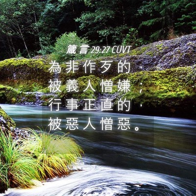 Picture 04 - 箴 言 29:27 CUVT - 為 非 作 歹 的 ， 被 義 人 憎 嫌 ； - Bible Verse Picture