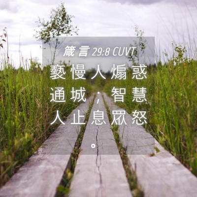 Picture 04 - 箴 言 29:8 CUVT - 褻 慢 人 煽 惑 通 城 ； 智 慧 人 止 - Bible Verse Picture
