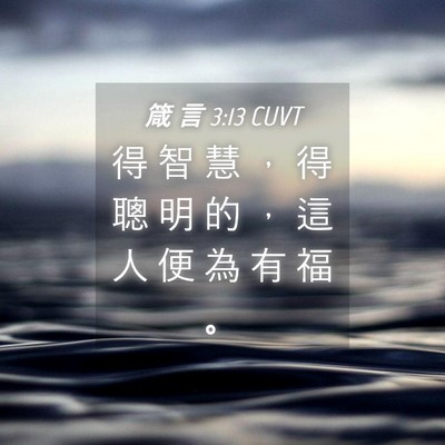 Picture 04 - 箴 言 3:13 CUVT - 得 智 慧 ， 得 聰 明 的 ， 這 人 便 - Bible Verse Picture