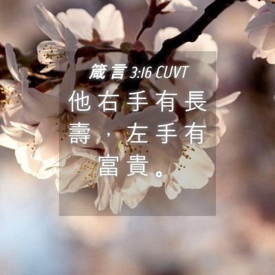 Picture 04 - 箴 言 3:16 CUVT - 他 右 手 有 長 壽 ， 左 手 有 富 貴 - Bible Verse Picture