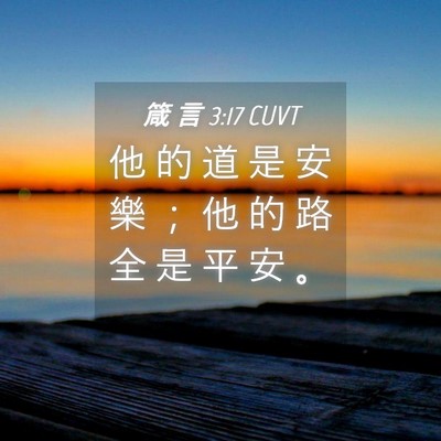 Picture 04 - 箴 言 3:17 CUVT - 他 的 道 是 安 樂 ； 他 的 路 全 是 - Bible Verse Picture