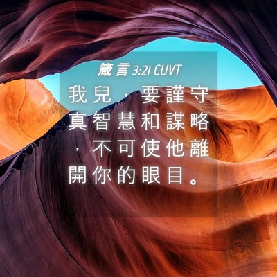 Picture 04 - 箴 言 3:21 CUVT - 我 兒 ， 要 謹 守 真 智 慧 和 謀 略 - Bible Verse Picture