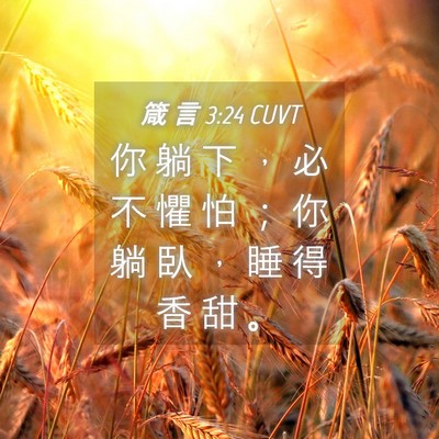 Picture 04 - 箴 言 3:24 CUVT - 你 躺 下 ， 必 不 懼 怕 ； 你 躺 臥 - Bible Verse Picture