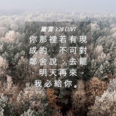 Picture 04 - 箴 言 3:28 CUVT - 你 那 裡 若 有 現 成 的 ， 不 可 對 - Bible Verse Picture