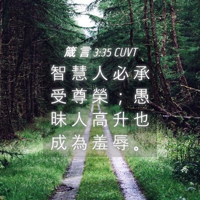 Picture 04 - 箴 言 3:35 CUVT - 智 慧 人 必 承 受 尊 榮 ； 愚 昧 人 - Bible Verse Picture