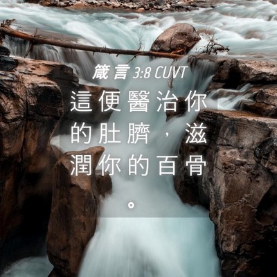Picture 04 - 箴 言 3:8 CUVT - 這 便 醫 治 你 的 肚 臍 ， 滋 潤 你 - Bible Verse Picture
