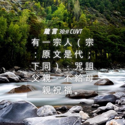 Picture 04 - 箴 言 30:11 CUVT - 有 一 宗 人 （ 宗 ： 原 文 是 代 ； - Bible Verse Picture