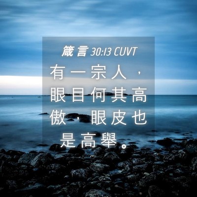 Picture 04 - 箴 言 30:13 CUVT - 有 一 宗 人 ， 眼 目 何 其 高 傲 ， - Bible Verse Picture