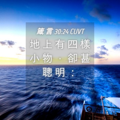 Picture 04 - 箴 言 30:24 CUVT - 地 上 有 四 樣 小 物 ， 卻 甚 聰 明 - Bible Verse Picture