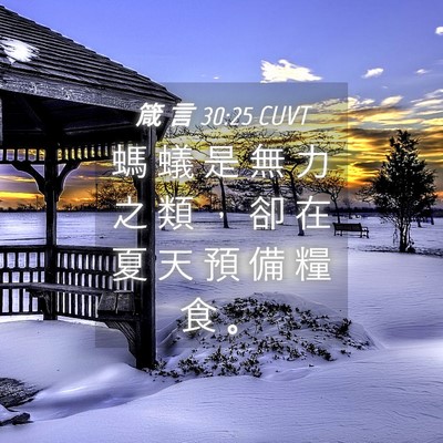 Picture 04 - 箴 言 30:25 CUVT - 螞 蟻 是 無 力 之 類 ， 卻 在 夏 天 - Bible Verse Picture