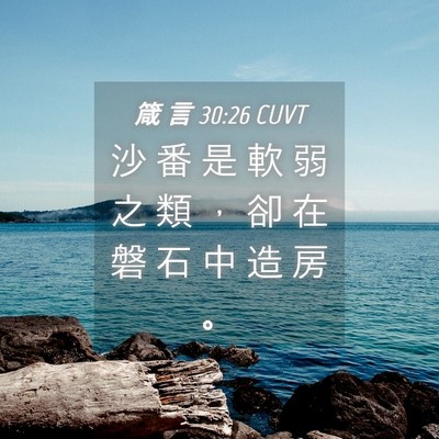 Picture 04 - 箴 言 30:26 CUVT - 沙 番 是 軟 弱 之 類 ， 卻 在 磐 石 - Bible Verse Picture