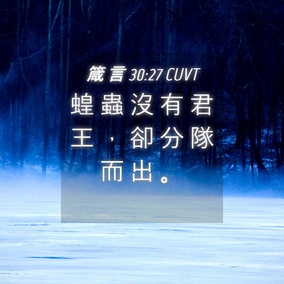 Picture 04 - 箴 言 30:27 CUVT - 蝗 蟲 沒 有 君 王 ， 卻 分 隊 而 出 - Bible Verse Picture
