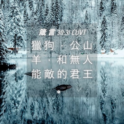 Picture 04 - 箴 言 30:31 CUVT - 獵 狗 ， 公 山 羊 ， 和 無 人 能 敵 - Bible Verse Picture