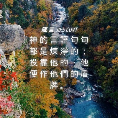 Picture 04 - 箴 言 30:5 CUVT - 神 的 言 語 句 句 都 是 煉 淨 的 ； - Bible Verse Picture