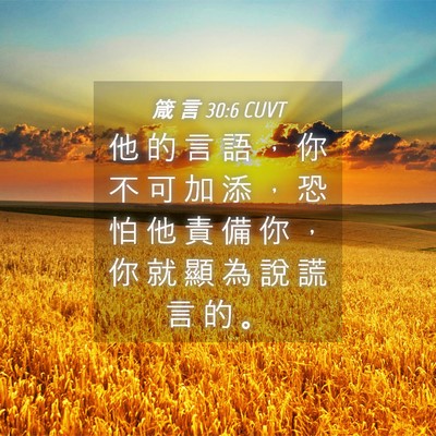 Picture 04 - 箴 言 30:6 CUVT - 他 的 言 語 ， 你 不 可 加 添 ， 恐 - Bible Verse Picture