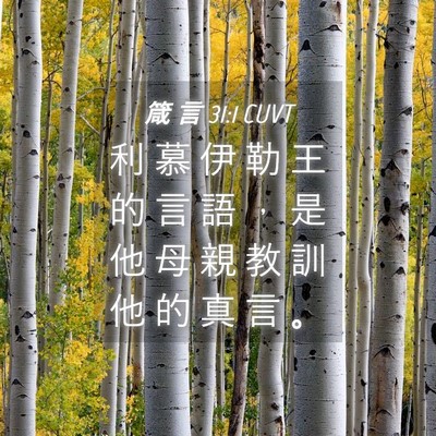 Picture 04 - 箴 言 31:1 CUVT - 利 慕 伊 勒 王 的 言 語 ， 是 他 母 - Bible Verse Picture