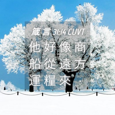 Picture 04 - 箴 言 31:14 CUVT - 他 好 像 商 船 從 遠 方 運 糧 來 - Bible Verse Picture