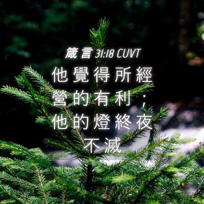 Picture 04 - 箴 言 31:18 CUVT - 他 覺 得 所 經 營 的 有 利 ； 他 的 - Bible Verse Picture