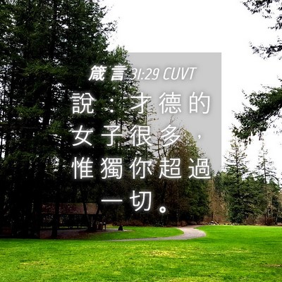 Picture 04 - 箴 言 31:29 CUVT - 說 ： 才 德 的 女 子 很 多 ， 惟 獨 - Bible Verse Picture