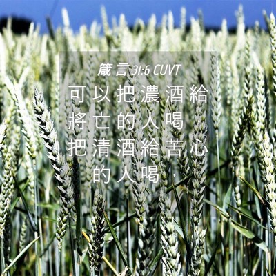Picture 04 - 箴 言 31:6 CUVT - 可 以 把 濃 酒 給 將 亡 的 人 喝 ， - Bible Verse Picture