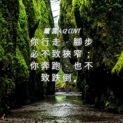 Picture 04 - 箴 言 4:12 CUVT - 你 行 走 ， 腳 步 必 不 致 狹 窄 ； - Bible Verse Picture