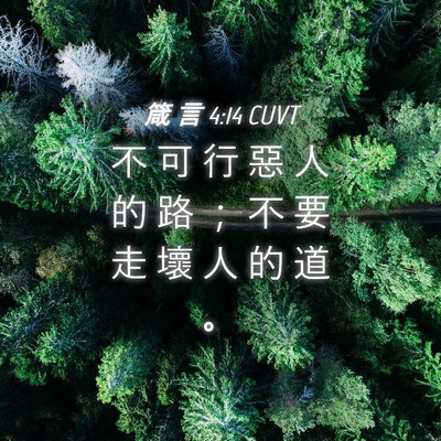 Picture 04 - 箴 言 4:14 CUVT - 不 可 行 惡 人 的 路 ； 不 要 走 壞 - Bible Verse Picture