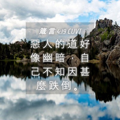 Picture 04 - 箴 言 4:19 CUVT - 惡 人 的 道 好 像 幽 暗 ， 自 己 不 - Bible Verse Picture