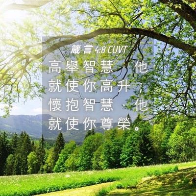 Picture 04 - 箴 言 4:8 CUVT - 高 舉 智 慧 ， 他 就 使 你 高 升 ； - Bible Verse Picture