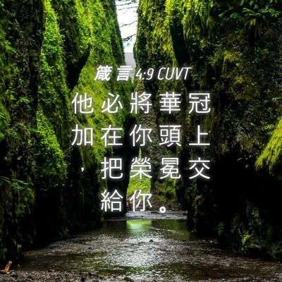 Picture 04 - 箴 言 4:9 CUVT - 他 必 將 華 冠 加 在 你 頭 上 ， 把 - Bible Verse Picture