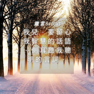Picture 04 - 箴 言 5:1 CUVT - 我 兒 ， 要 留 心 我 智 慧 的 話 語 - Bible Verse Picture