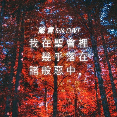 Picture 04 - 箴 言 5:14 CUVT - 我 在 聖 會 裡 ， 幾 乎 落 在 諸 般 - Bible Verse Picture