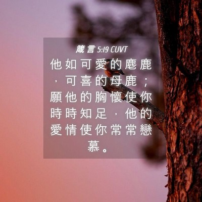 Picture 04 - 箴 言 5:19 CUVT - 他 如 可 愛 的 麀 鹿 ， 可 喜 的 母 - Bible Verse Picture