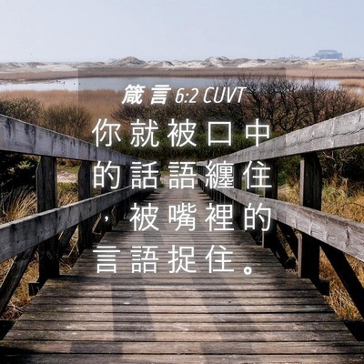 Picture 04 - 箴 言 6:2 CUVT - 你 就 被 口 中 的 話 語 纏 住 ， 被 - Bible Verse Picture