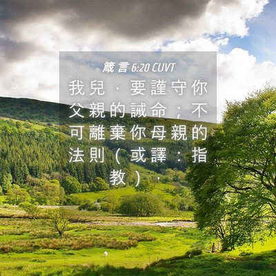 Picture 04 - 箴 言 6:20 CUVT - 我 兒 ， 要 謹 守 你 父 親 的 誡 命 - Bible Verse Picture